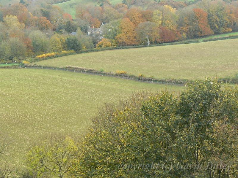 Autumn, Beaminster P1150583.JPG